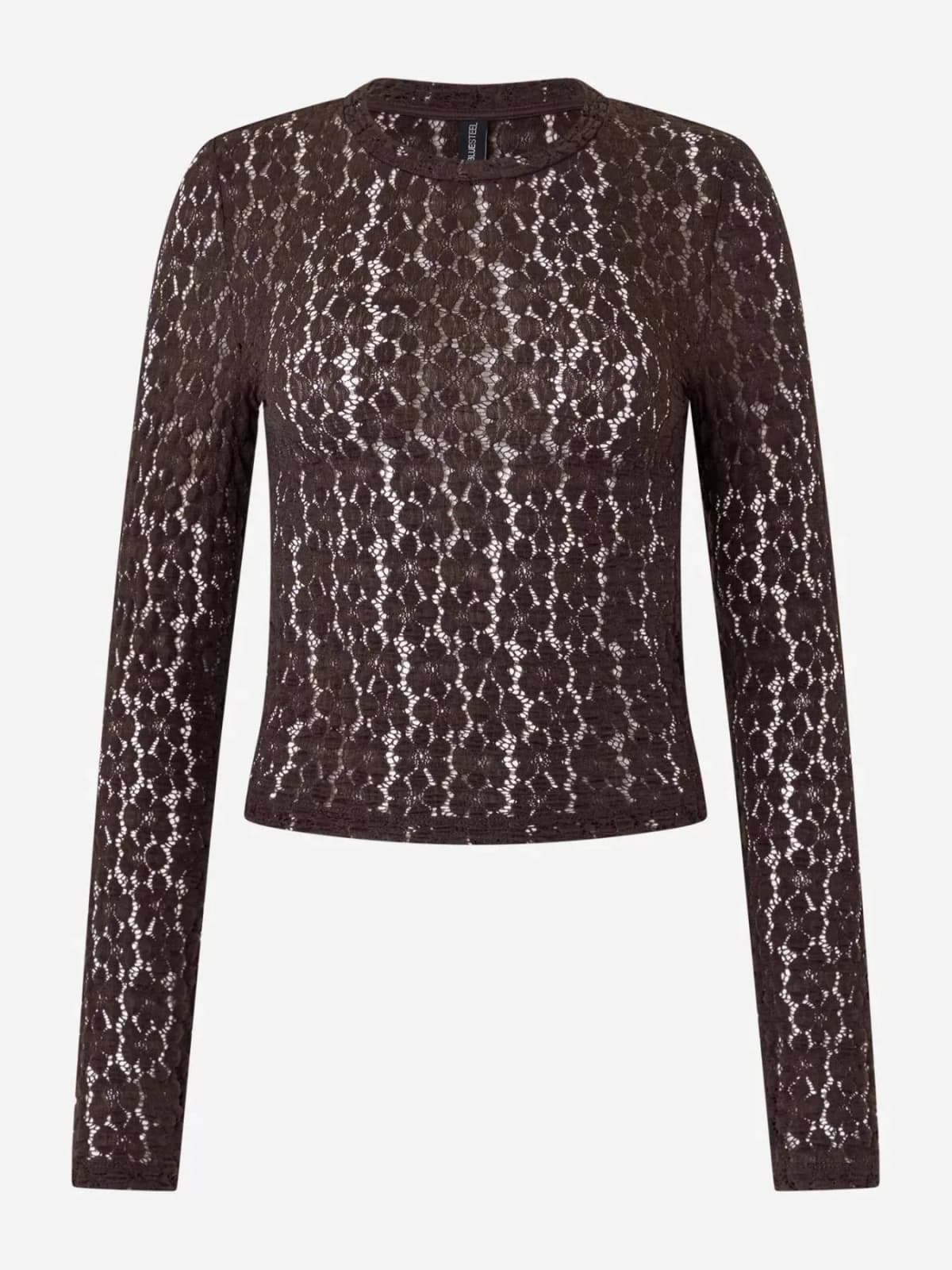 Lace Round Neck Long Sleeve Blouse
