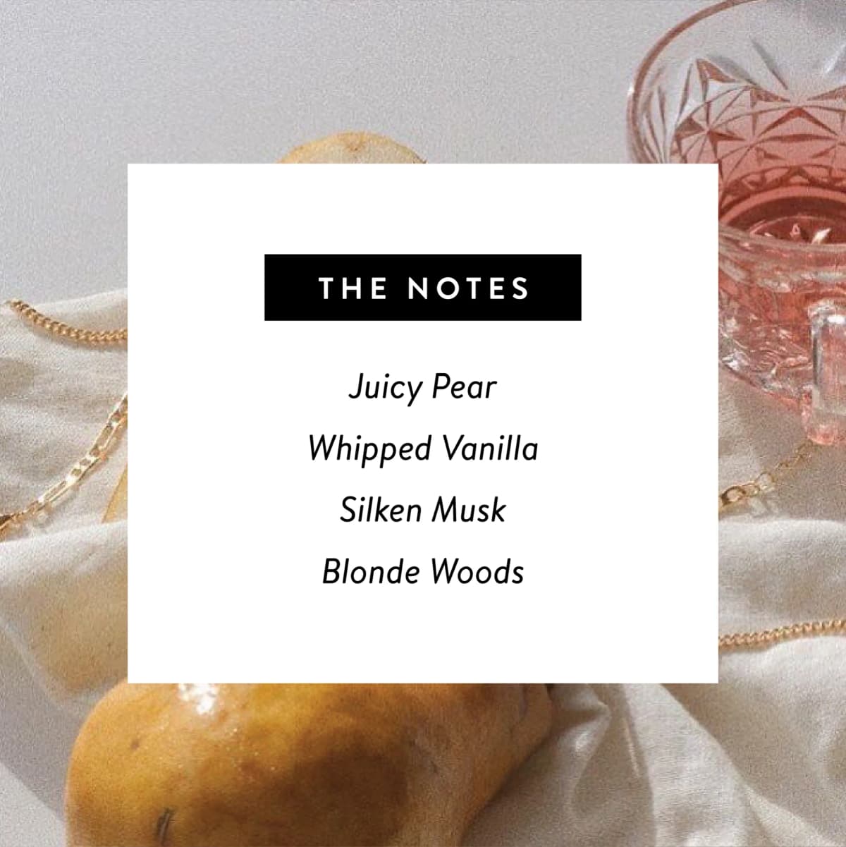 New** Kitten Perfume Nontoxic Eau De Parfum by by West Clay Co