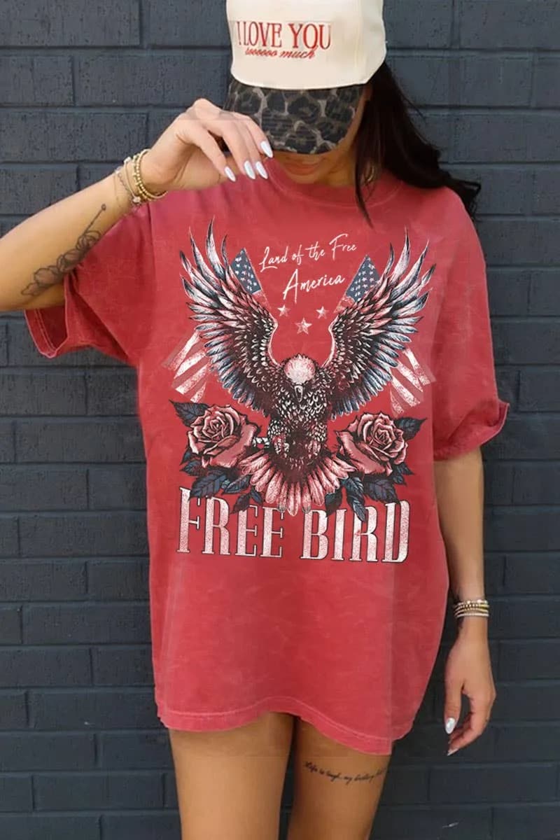 FREE BIRD AMERICA OVERSIZED MINERAL GRAPHIC TEE