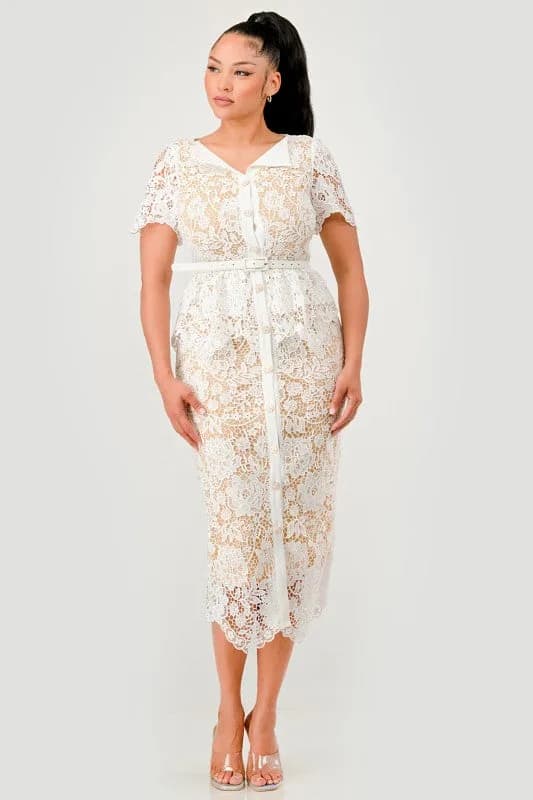 Vintage Lace Charm Dress