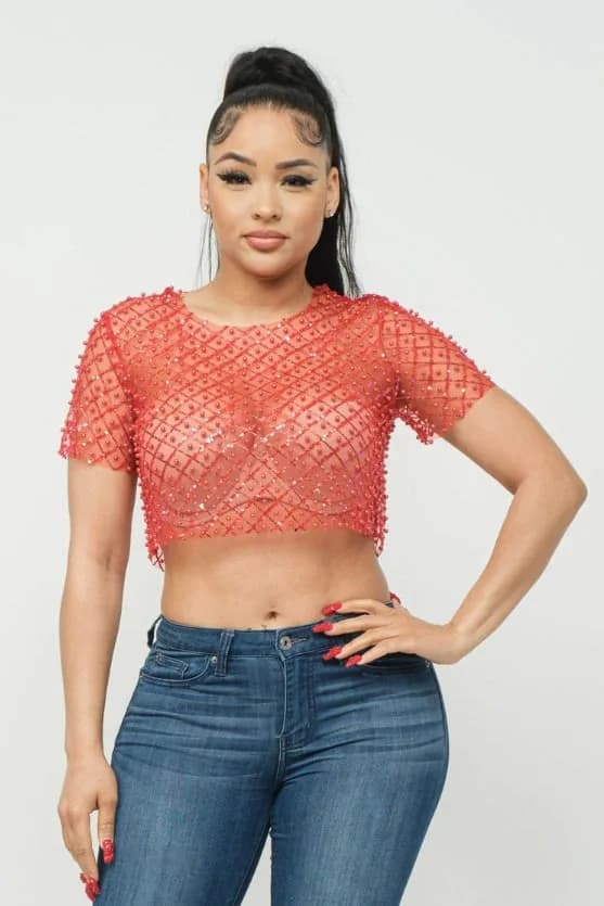 Mesh Beaded Sequin Crop Top