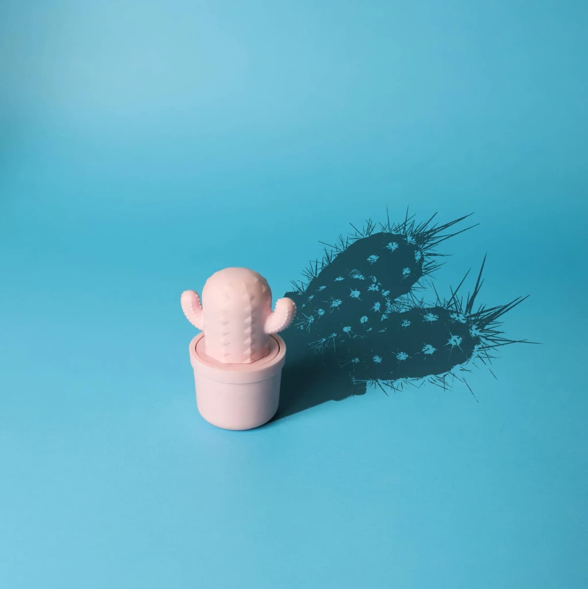 Pink Cactus Lip Balm 100% Natural CUCUMBER MELON